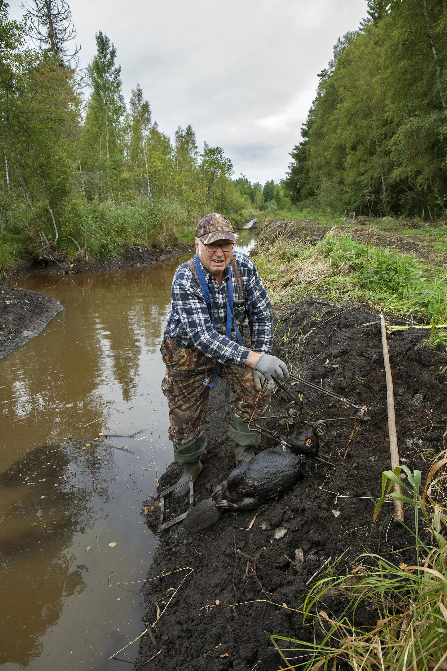 Teenekas koprakütt Jaan Kraav on varasematel aastatel hooaja jooksul peamiselt Virumaa kuivenduskraavidest lõksudega välja püüdnud 60 kobrast.