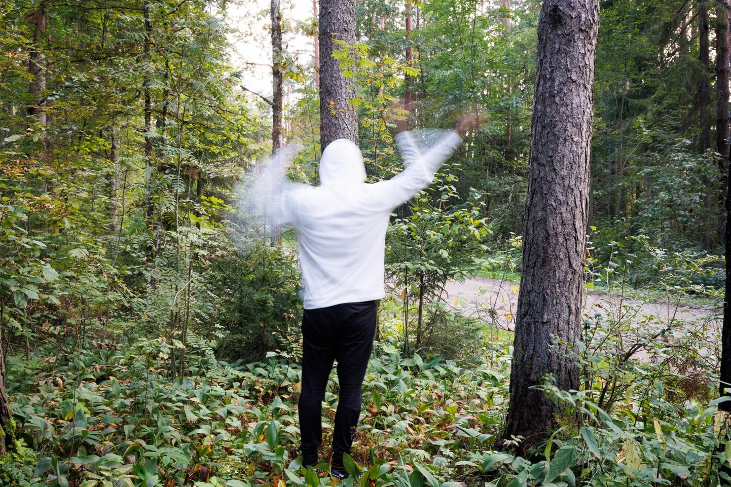 Metsaelanikke vaevab küsimus: miks inimloomad võivad metsas käia, aga metsaloomi linnas vaadatakse kui ilmaimet?