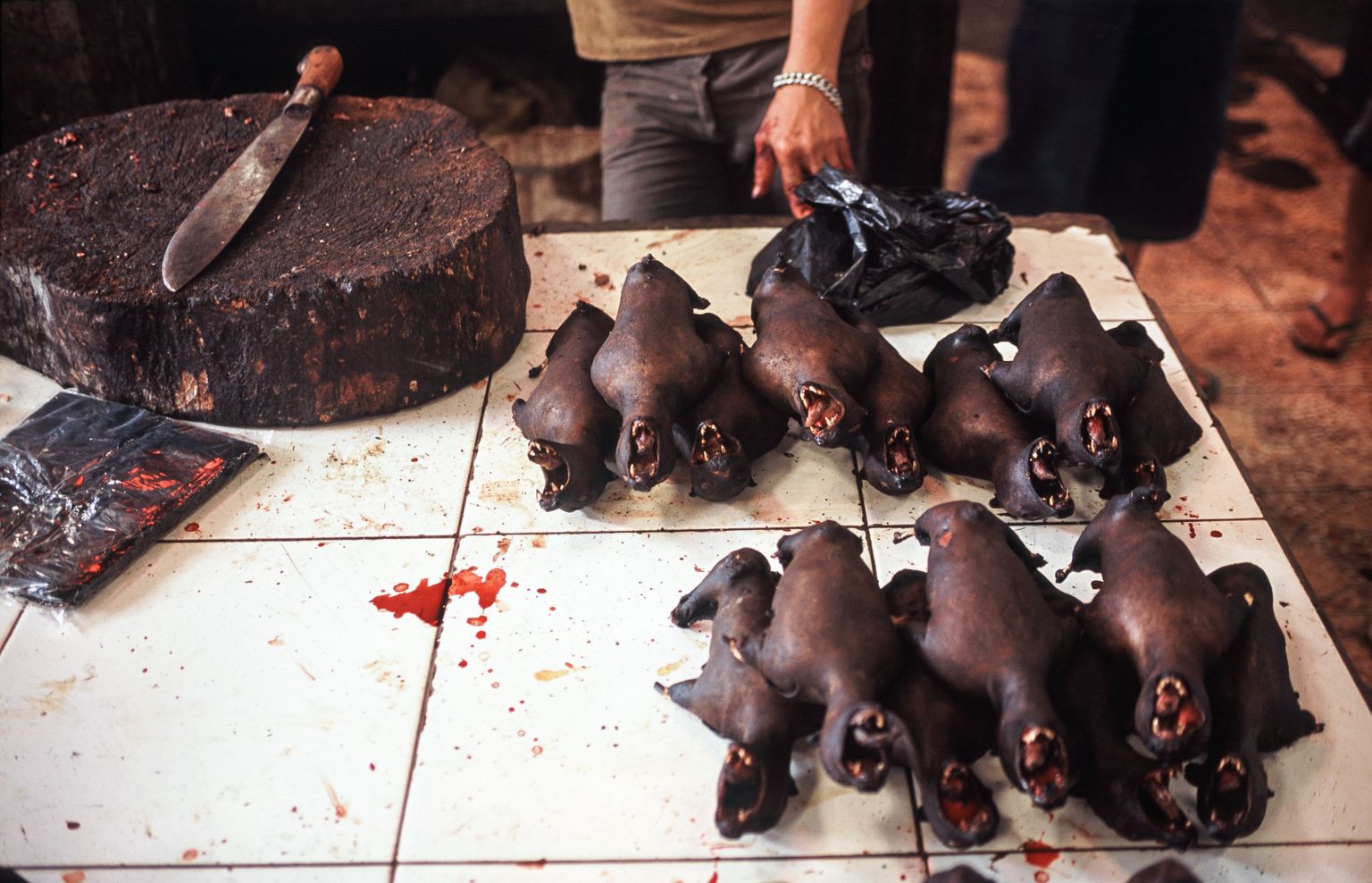 Aasias süüakse grillitud nahkhiiri. Pildil nahkhiired Indoneesia Sulawesi saare Tomohoni turul