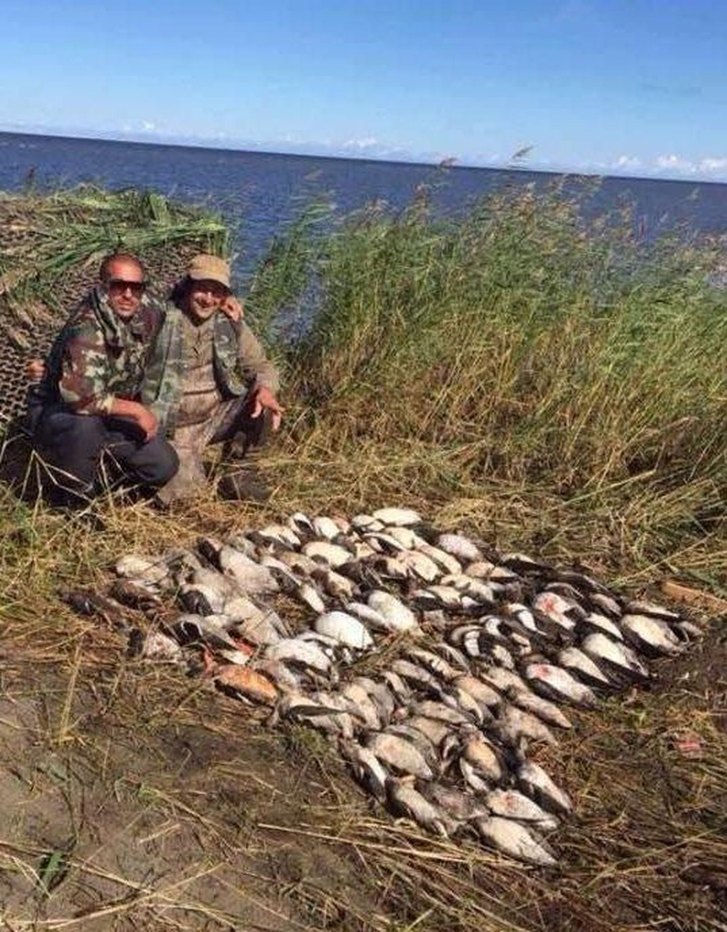 Loomakaitsjate seas on Kihnu saarel tapetud linde eksponeerinud Itaalia jahituristid tekitanud palju pahameelt.