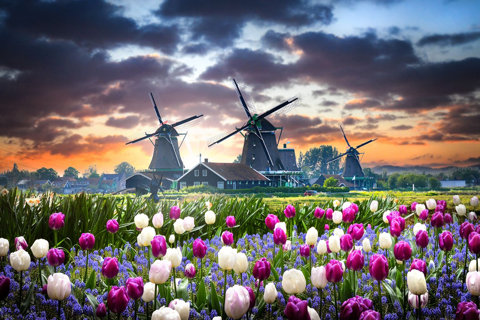 Hollandi maastikufotoga postkaart. Pilt on illustreeriv