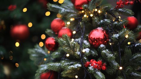 ГЛАВНОЕ ЗА 24 ДЕКАБРЯ ⟩ Поздравления с Рождеством, 20 пунктов мирного плана США и подробности жизни осужденного сына депутата