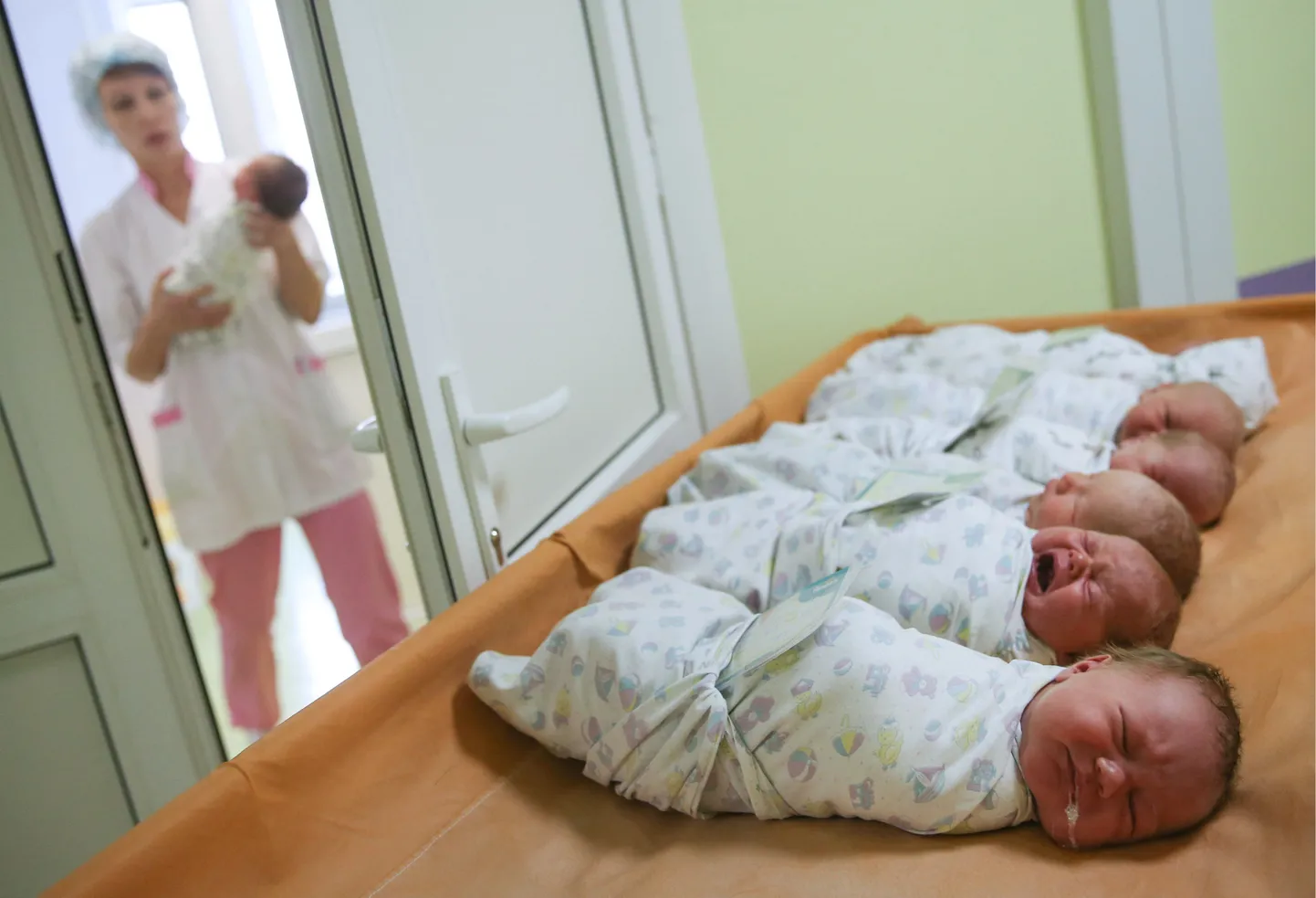 Tänavu kevadel on ämmaemandatel käed-jalad tööd täis olnud.