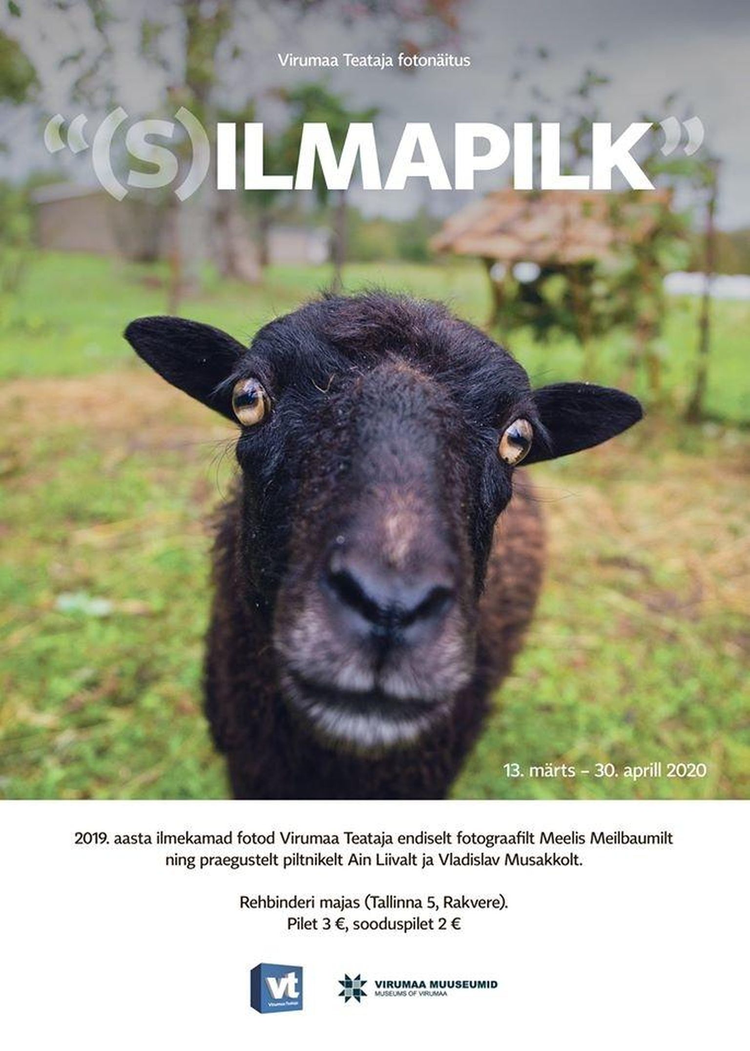 Virumaa Teataja fotonäituse "(S)ilmapilk" plakat.