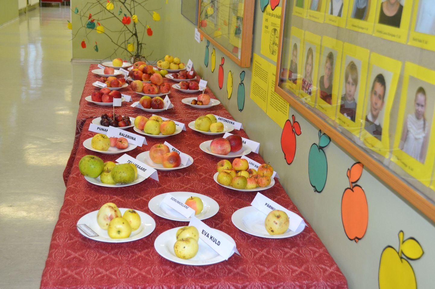 Näitus õpilaste koduaedades kasvavatest sügisõuntest juhatas sisse veerandi viimase päeva.