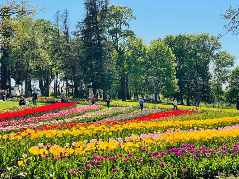 Фото статьи