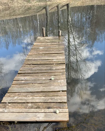 Pudenenud sõtkamunad ujumissillal.