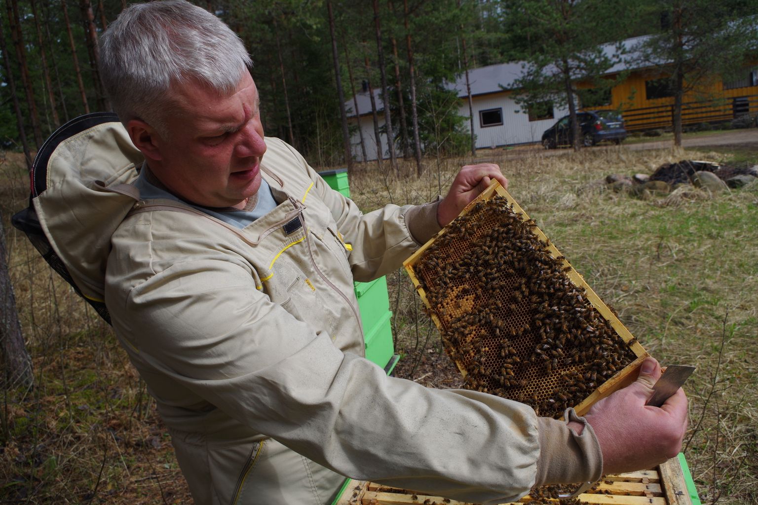 Taevaskoja mesinik Alar Suits hindab kodu juures oleva mesilastaru seisu ja tõdeb, et kui ilmad niipea soojemaks ei lähe, tuleb hakata mesilastele lisatoitu andma.