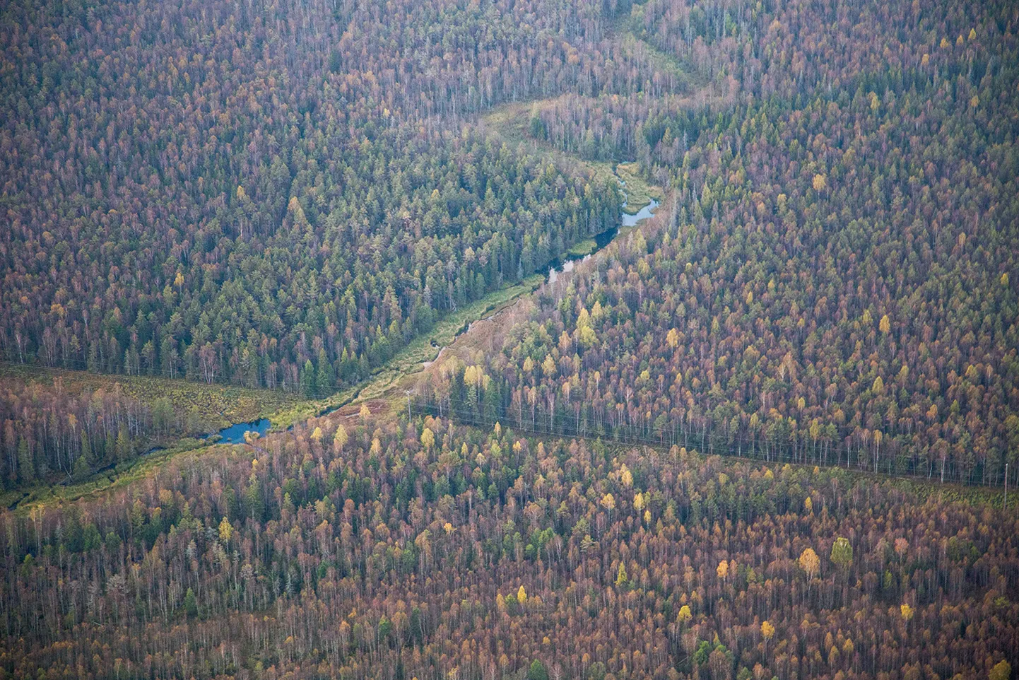 Kuumaõhupallilend Järvamaal kohal