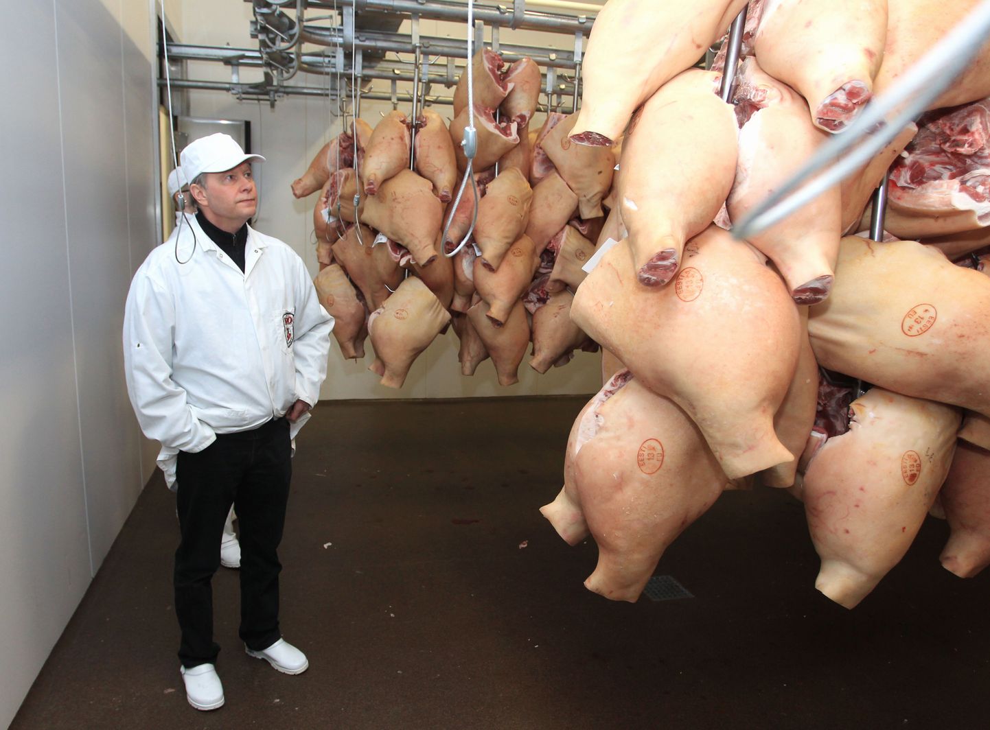 Nõo lihatööstuse juht Toomas Kruustük tunneb aastatega üsna suureks kasvanud tööstuses näo ja nime järgi kõiki töötajaid ning iga nurka. Ka lihalõikustsehhi ees olevas laos võib ta pikalt rääkida, millise süsteemi järgi seal toorainet hoitakse.