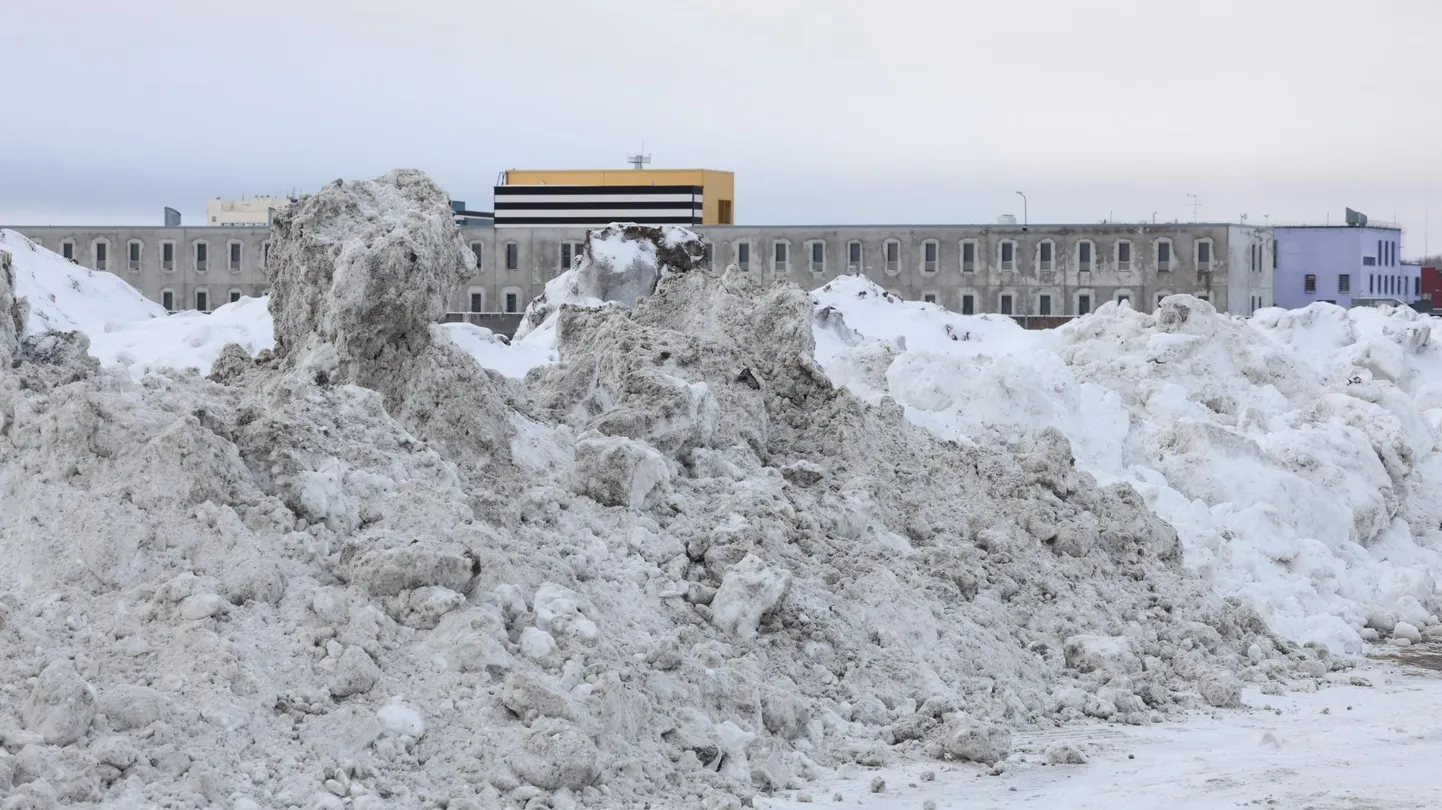 Veokijuhid tühjendavad linnavalitsuse tellimusel tänavatelt kogutud lumekoormad Tartu vangla taha tühermaale. Sinna võivad lund panna ka teised firmad.