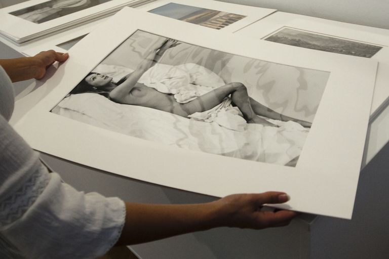 Сделанные американским фотографом Памелой Хансон фотографии Карлы Бруни в 2009 году были проданы на аукционе в Берлине.