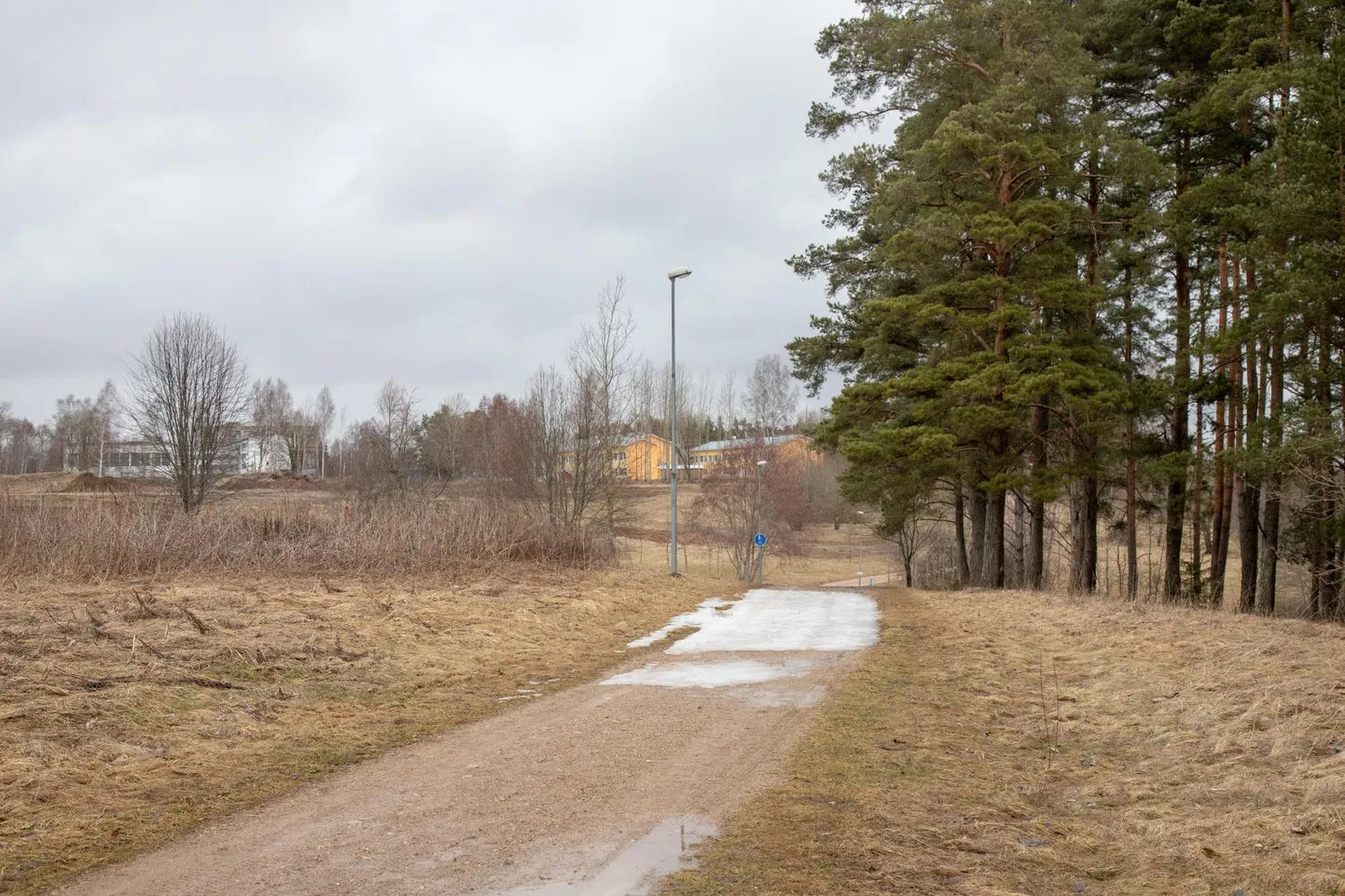 Viljandi järve äärne terviserada