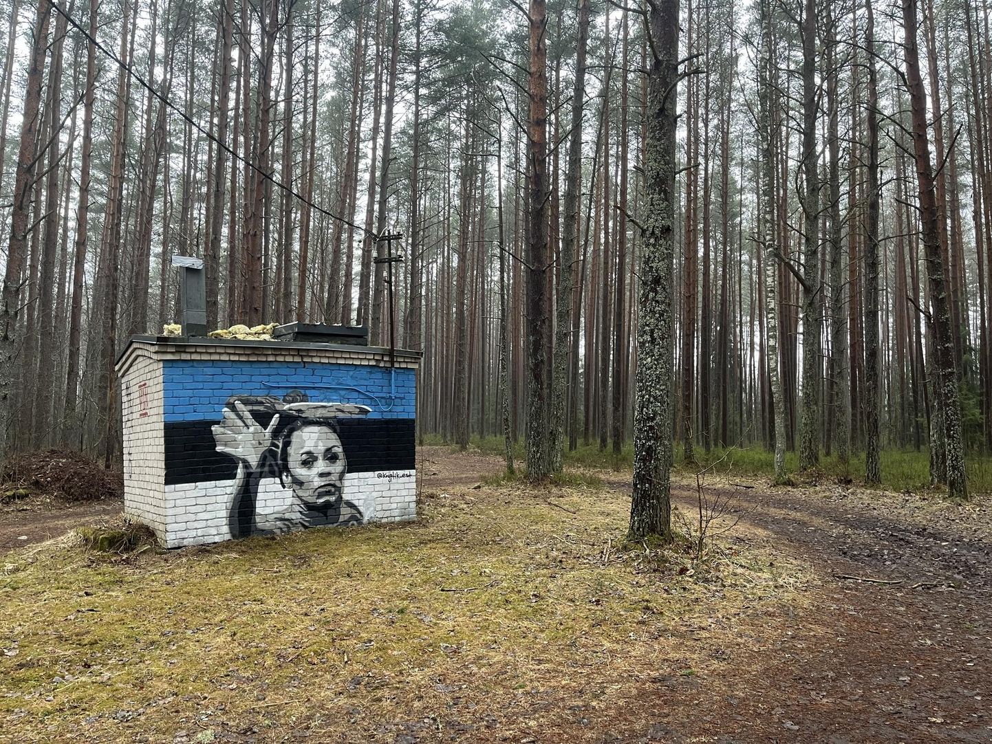 Oma Instagrami kontol märgib tänavakunstnik Kryptik ära, et maailma parim kettagolfar tuleb Pärnust.