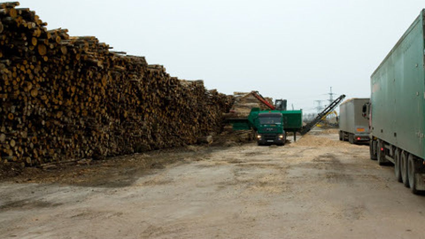 2009. aasta sügisel kõrgusid-laiusid Balti elektrijaama territooriumil hakkpuiduks tegemist ootavad puuhunnikud; metsaomanikud loodavad, et see neile hea aeg tuleb taas.