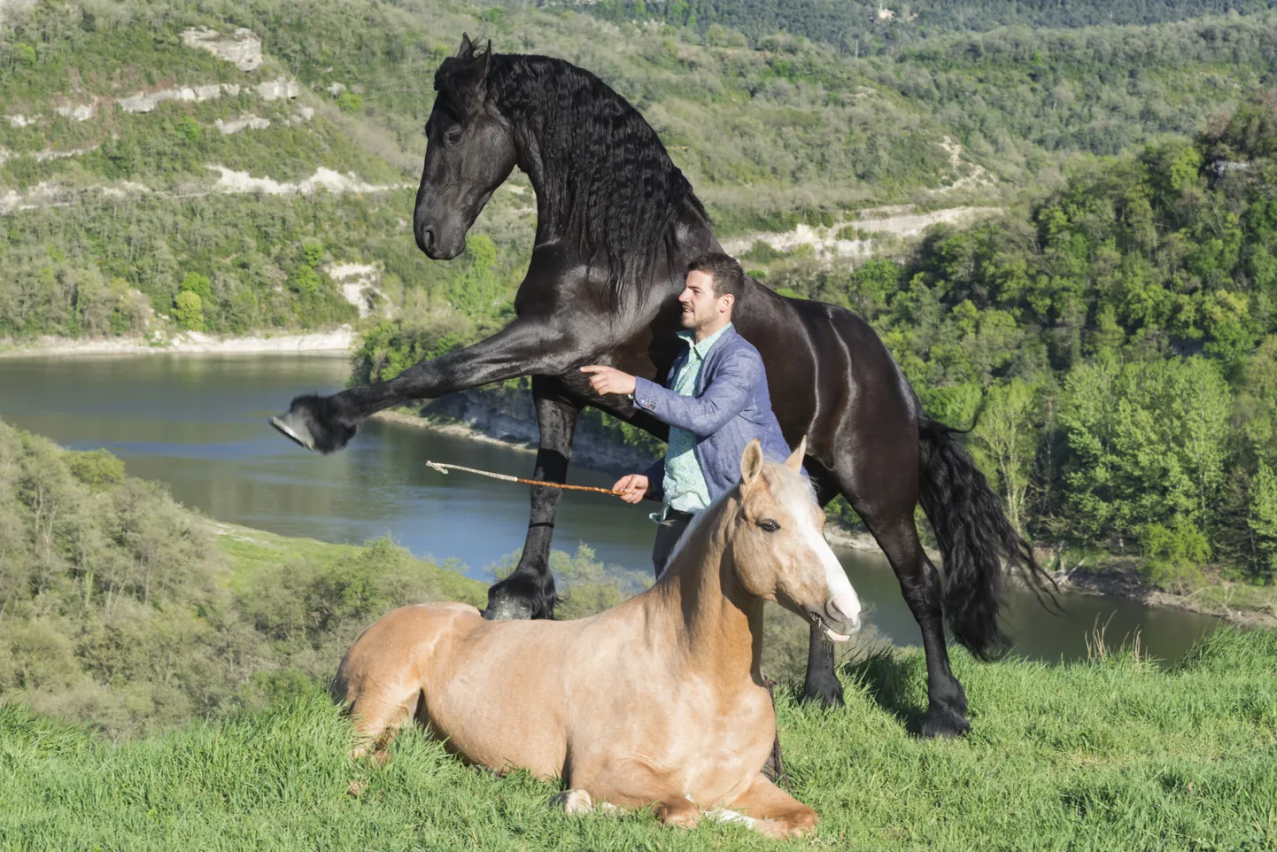 Artikli foto