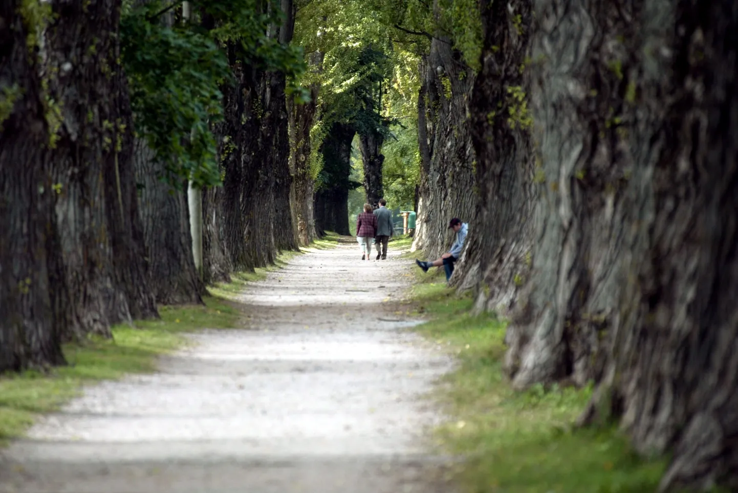 Papliallee Emajõe kaldal.