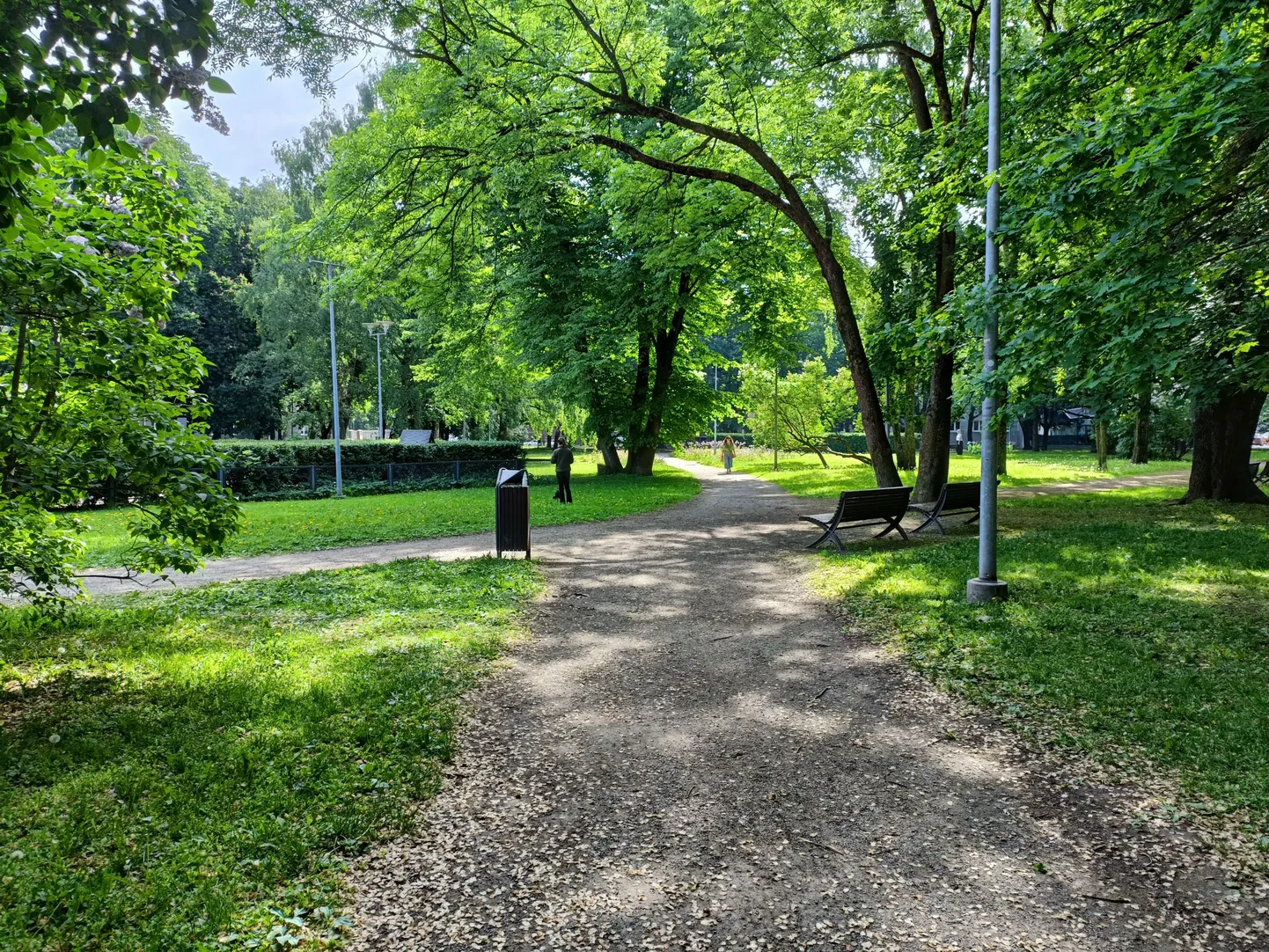 Парк Лембиту вдоль улицы Лаутери.
