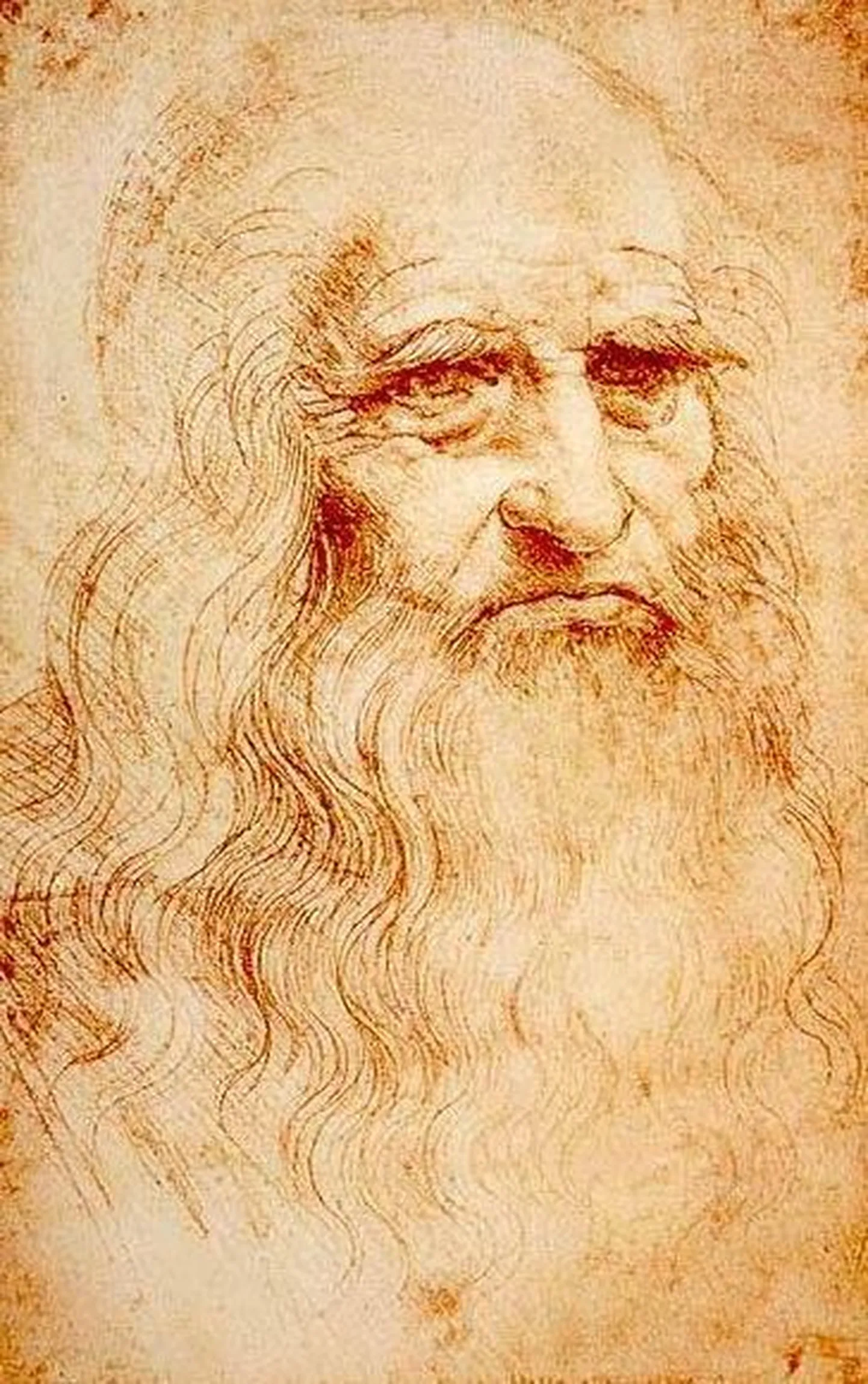 Leonardo da Vinci portree