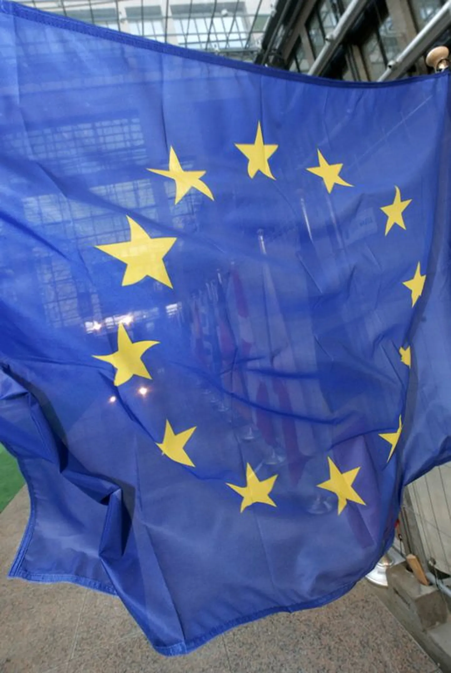 Euroopa Liidu lipp