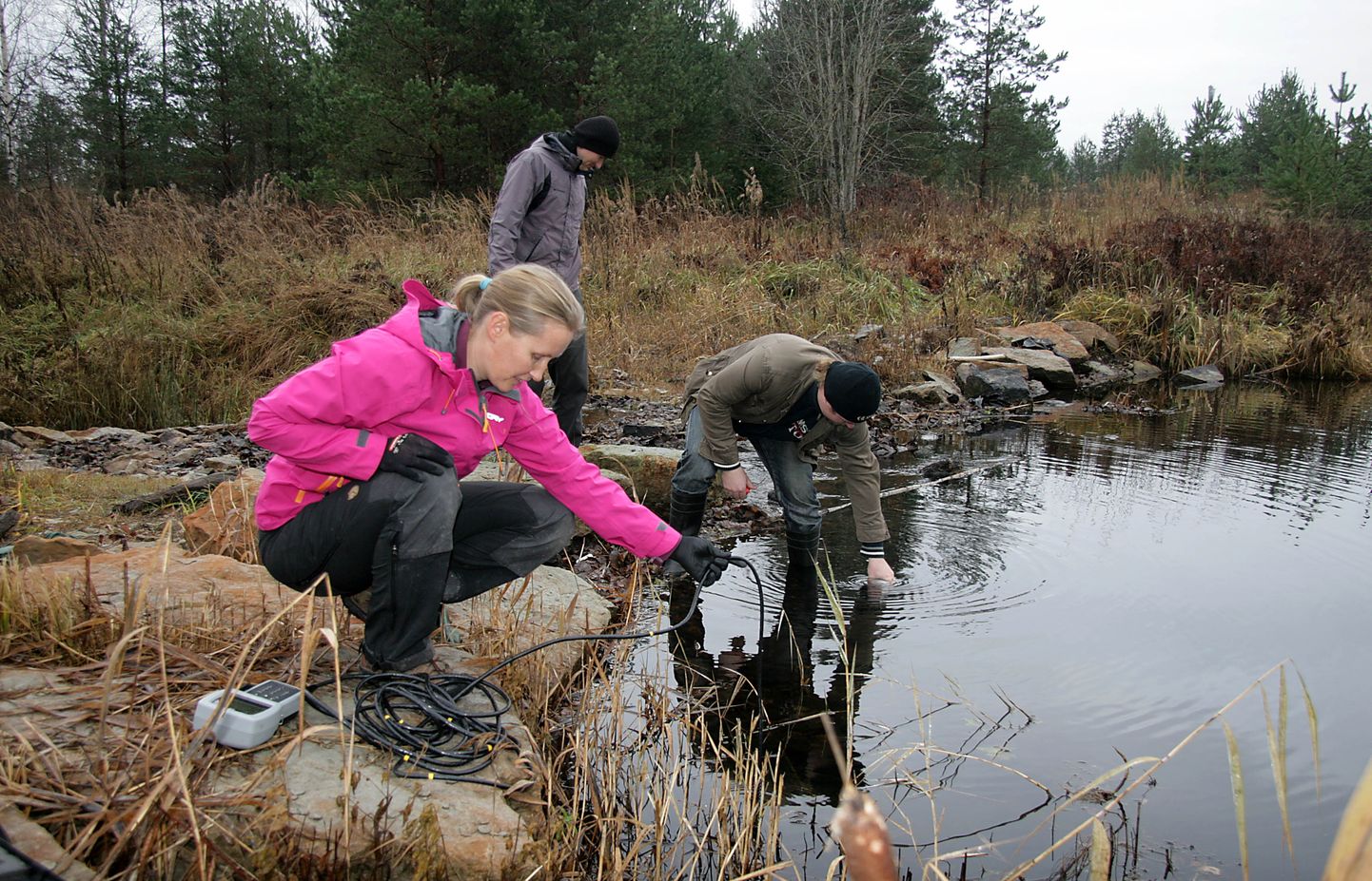 Ученые Таллиннского университета с 2013 года в рамках нескольких проектов непрерывно изучают озера в Куртна.