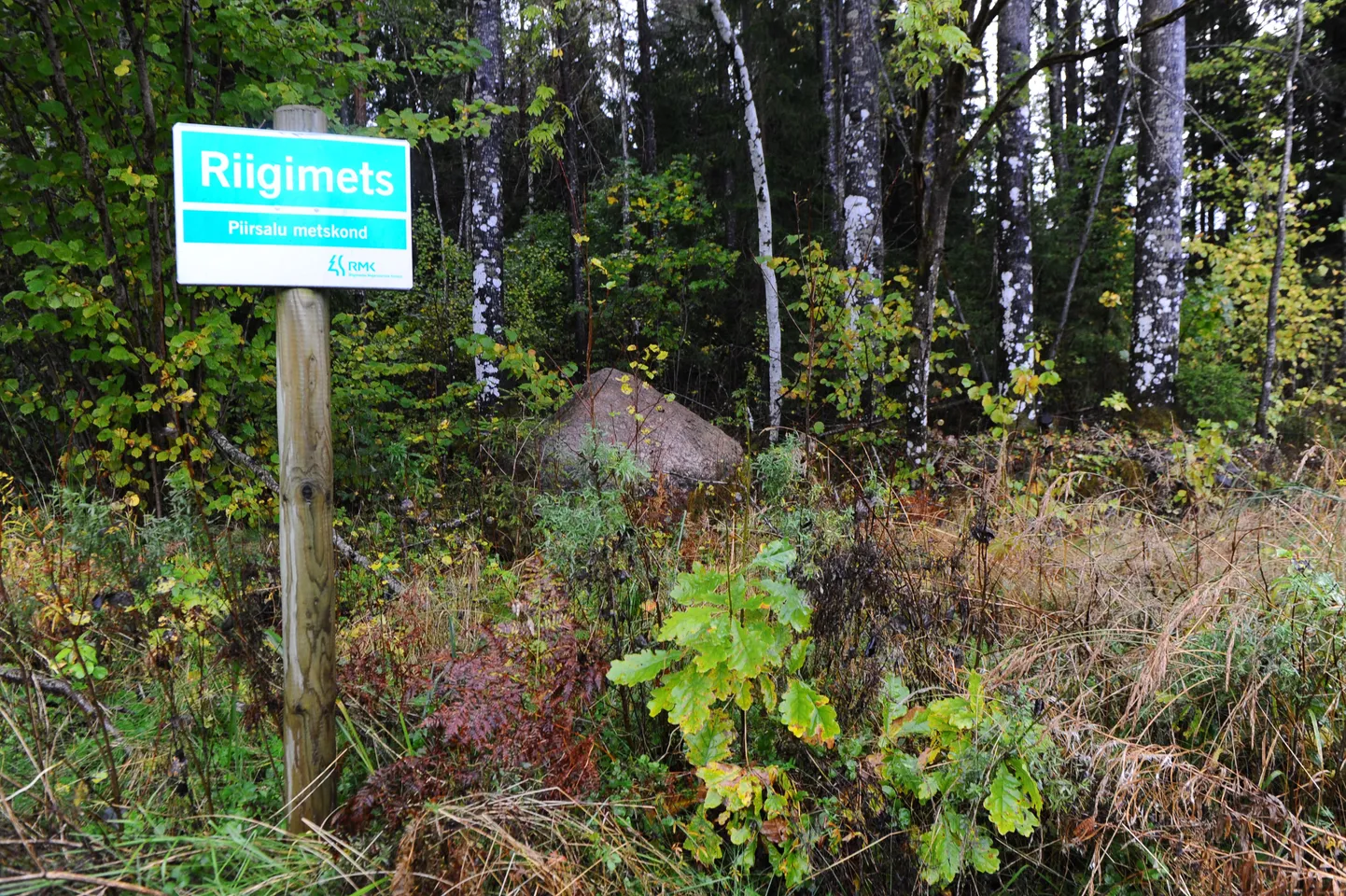 Riigimets.