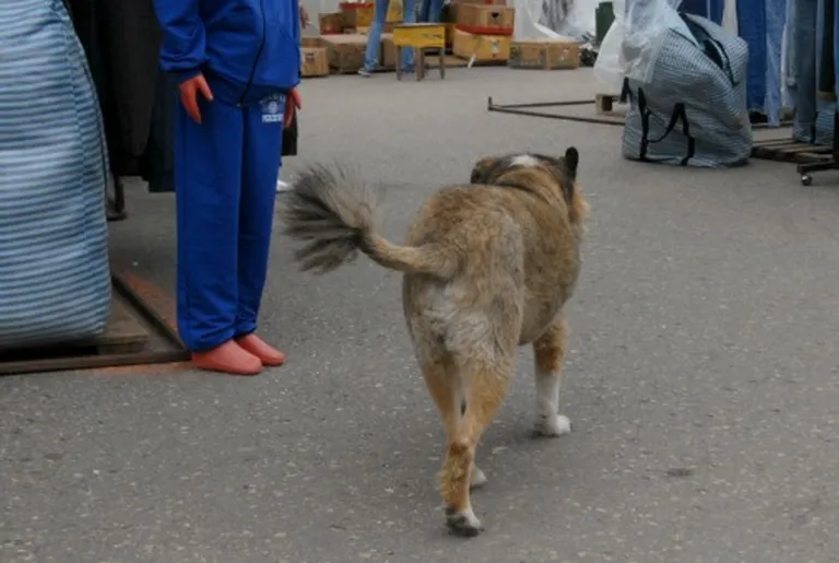 Начало рабочего дня