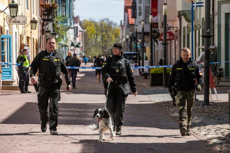 Politsei kontrollis koera kaasabil nii kohtumaju kui nende ümbrust.