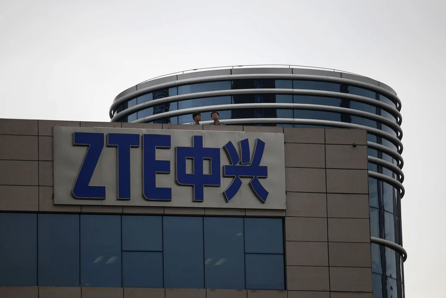 ZTE büroohoone.