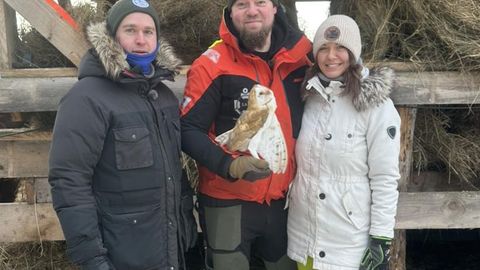 ERAKORDNE LEID ⟩ Ruhnu saarele eksis ülimalt haruldane lind