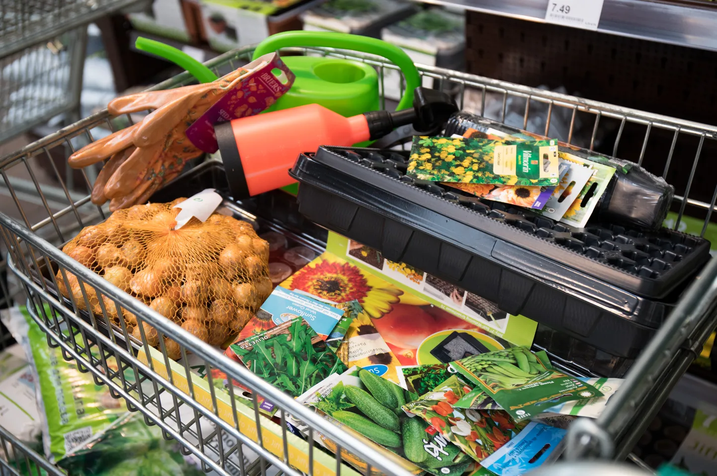 Kui seemneid ostma lähete, võite plastikust külvianumad poodi jätta ja külvamiseks oma kodust sobivad potid leida.
