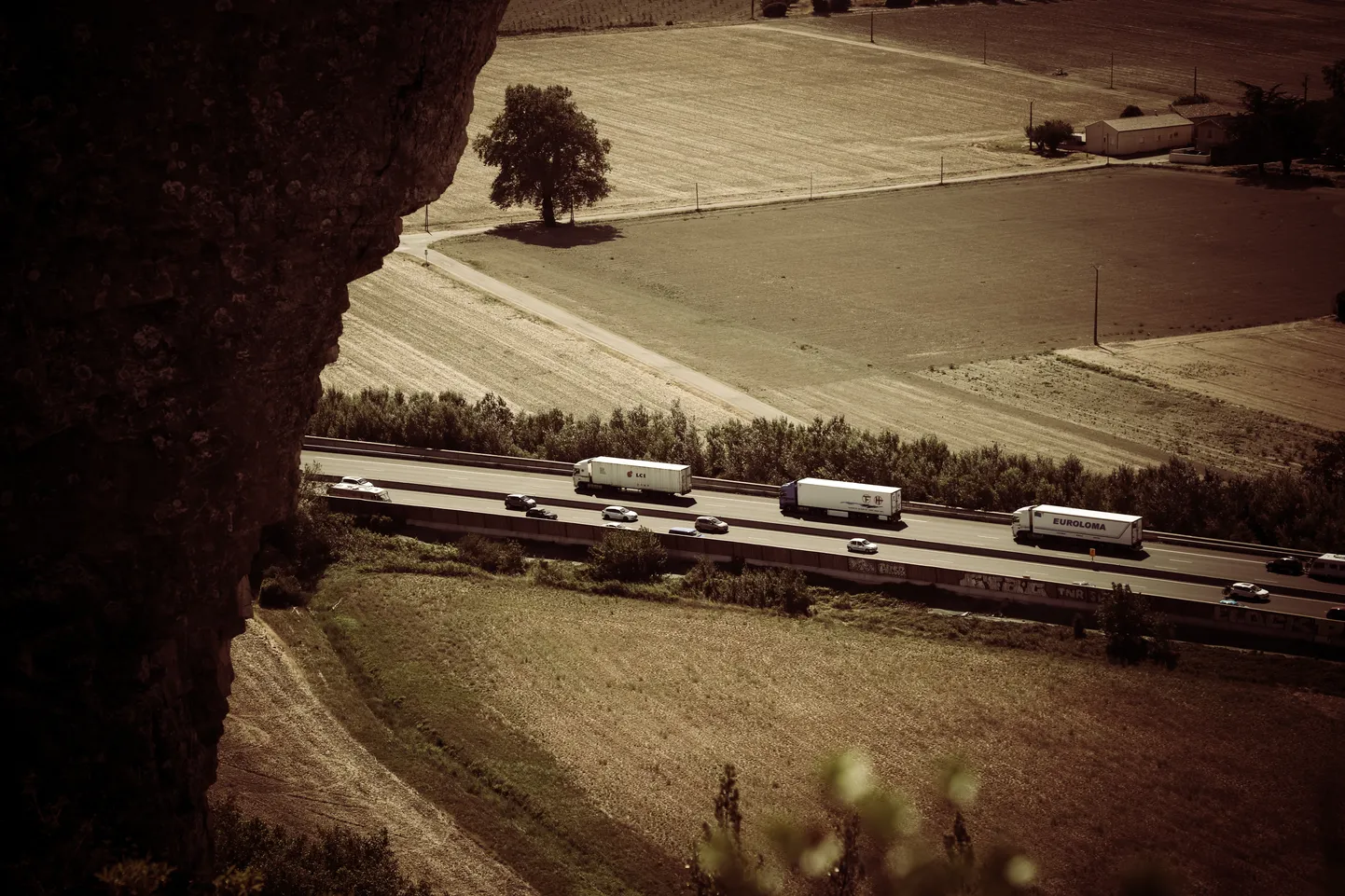 Artikli foto