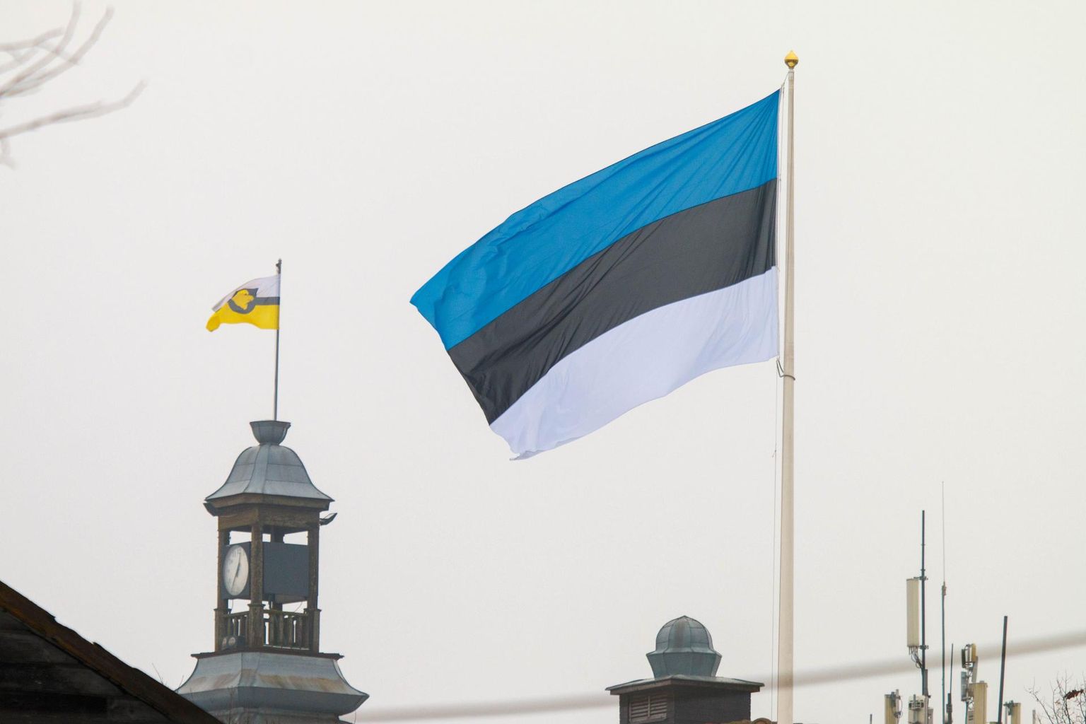 Eesti lipp ja Otepää valla lipp.
