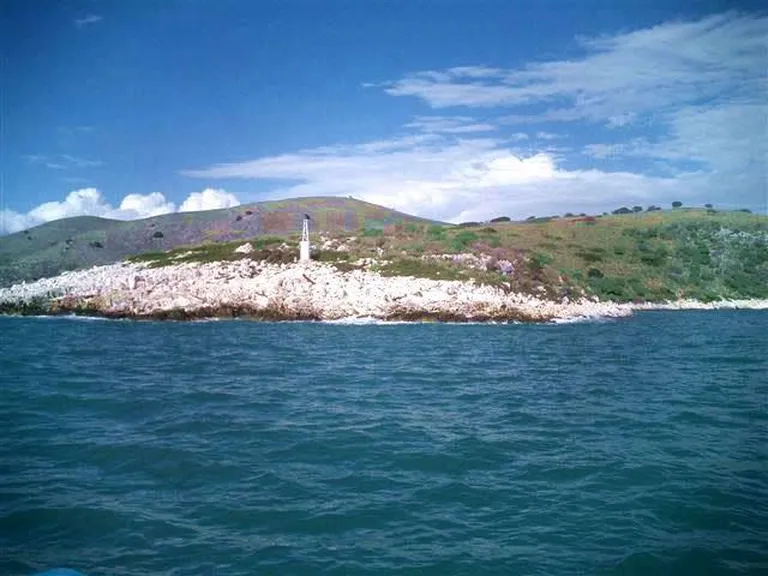 Artikli foto