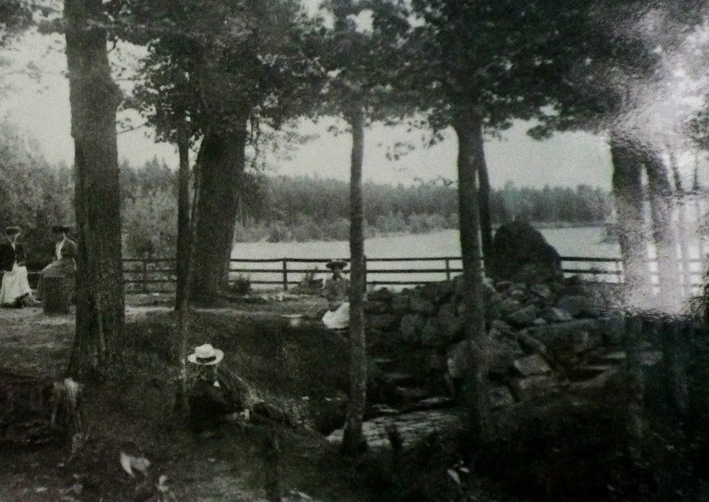 Raksta foto