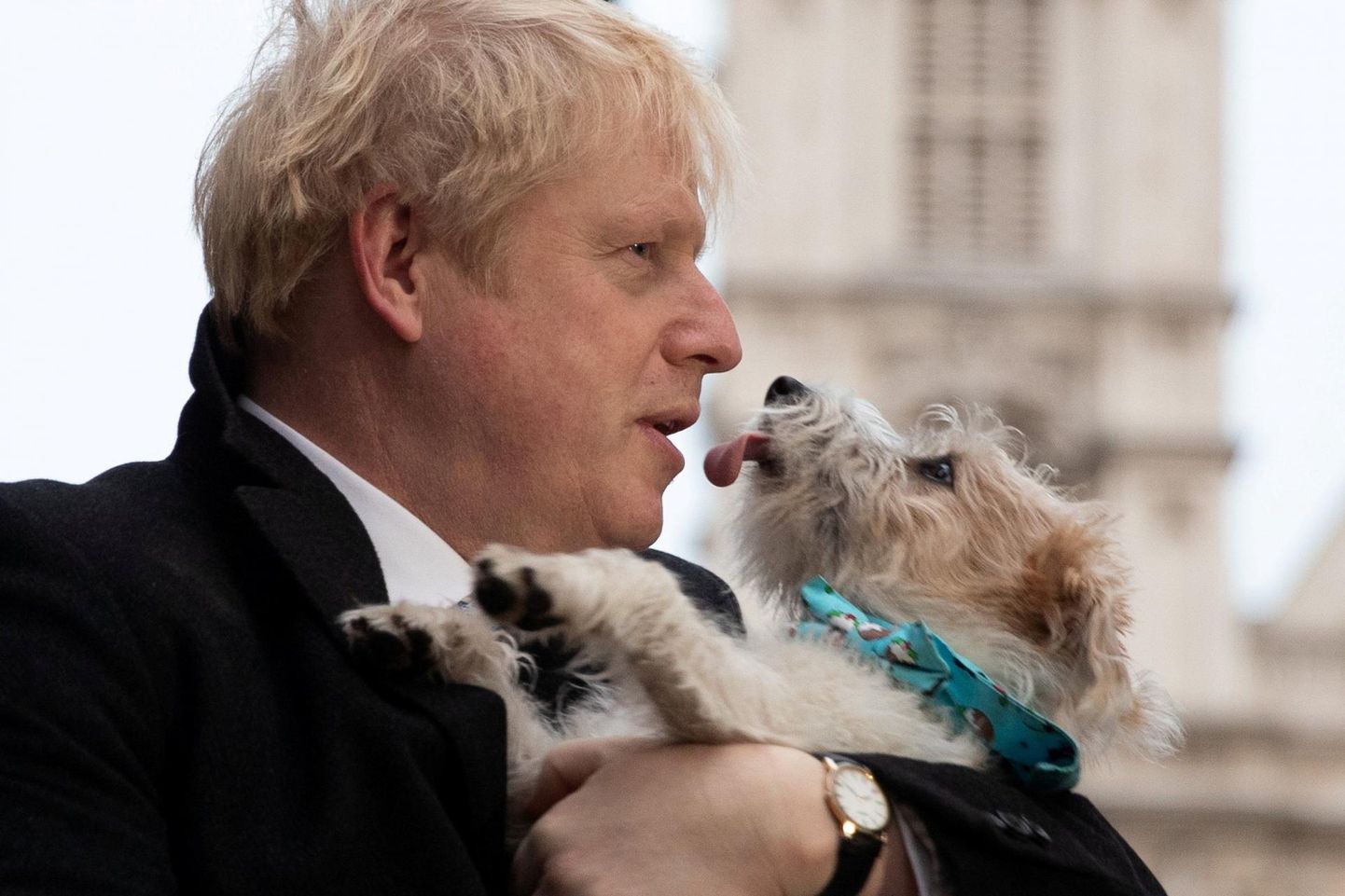 Briti peaminister kuulis Otto Treileri edusammudest koeraga vestlemisel ja otsib oma lemmikuga samasugust lähedust.