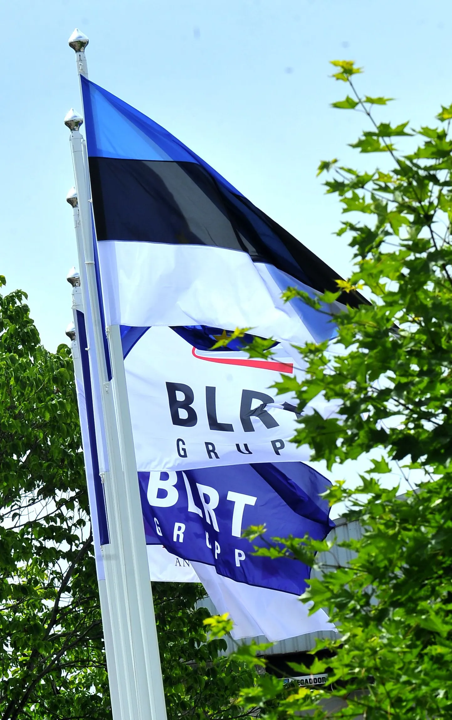 Флаги BLRT. Иллюстративный снимок.