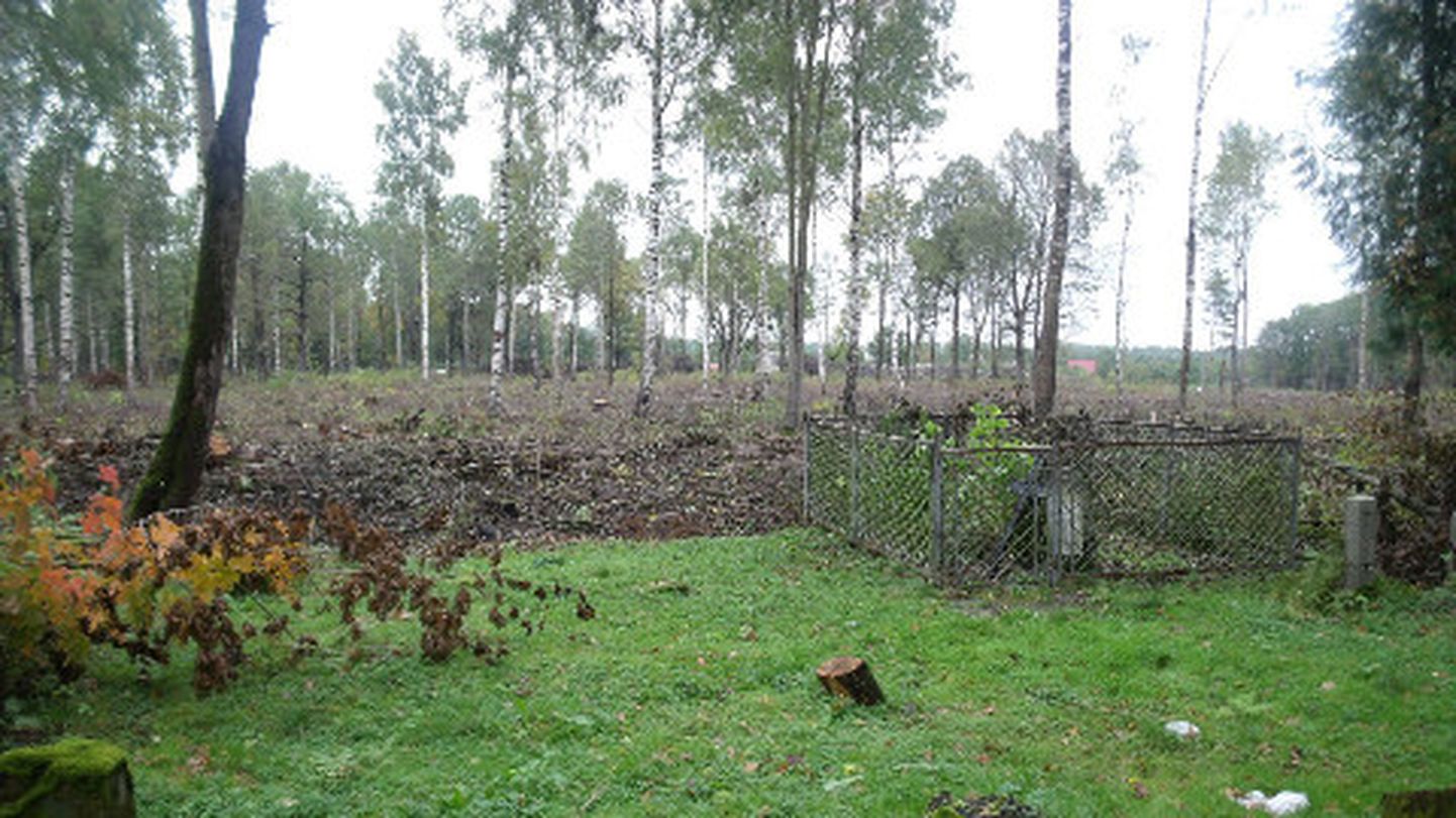 Siivertsi vanal kalmistul Narvas säilinud hauad on tänavuse ulatusliku puude ja põõsaste raiumise ning territooriumi korrastamise käigus vigastatud.
