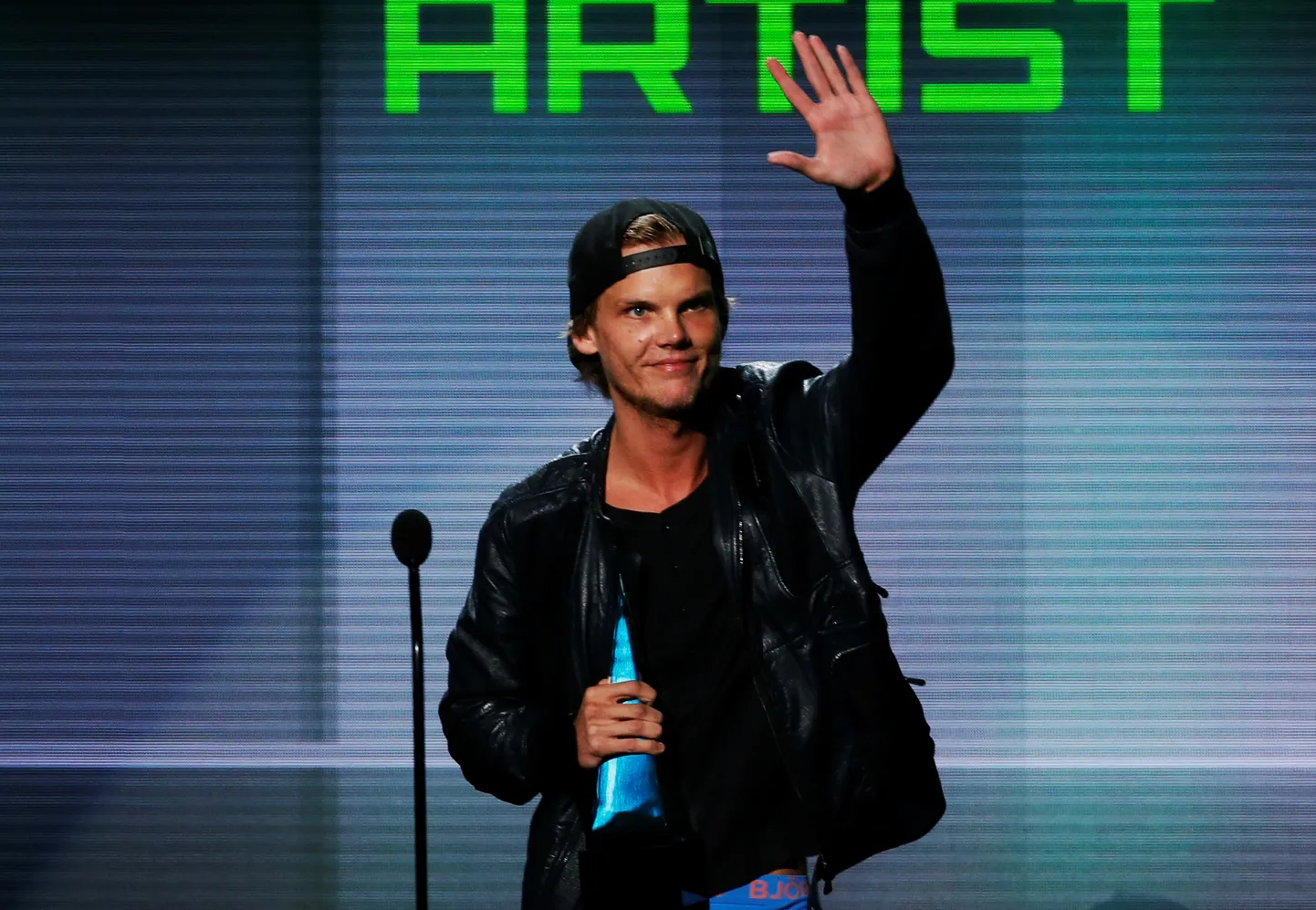 Tim «Avicii» Bergling 2013