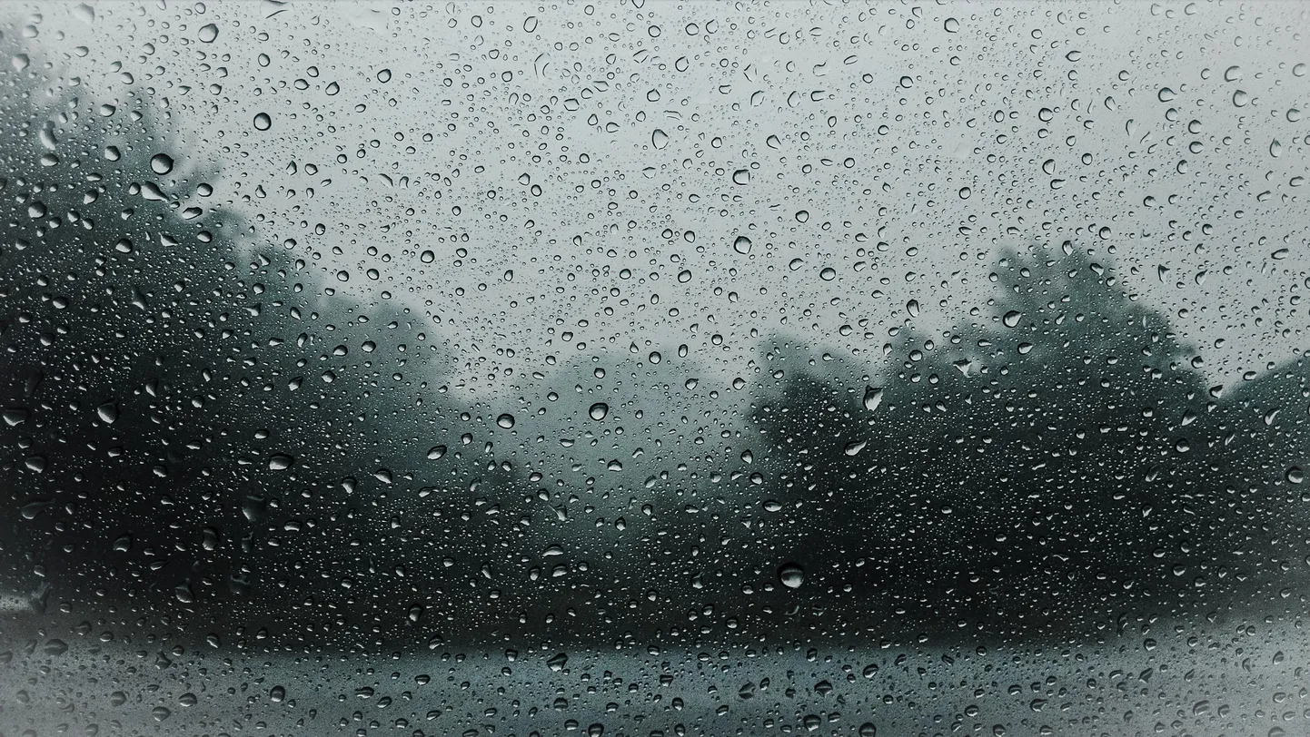 Vihmane-tuuline ilm. Foto on illustreeriv.