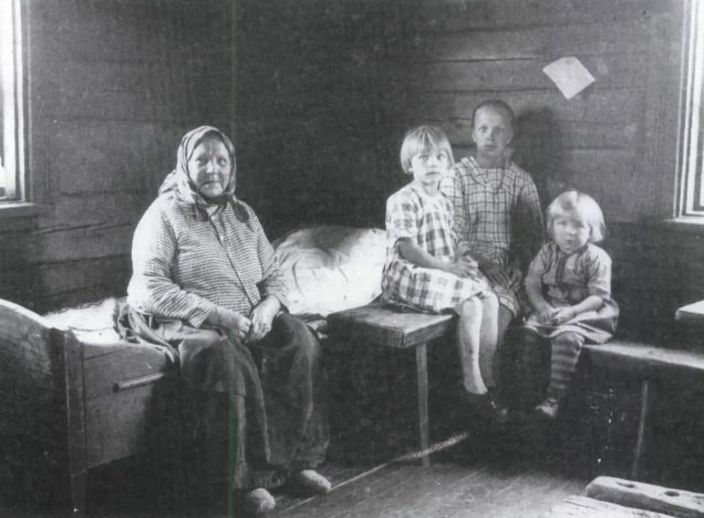 Artikli foto