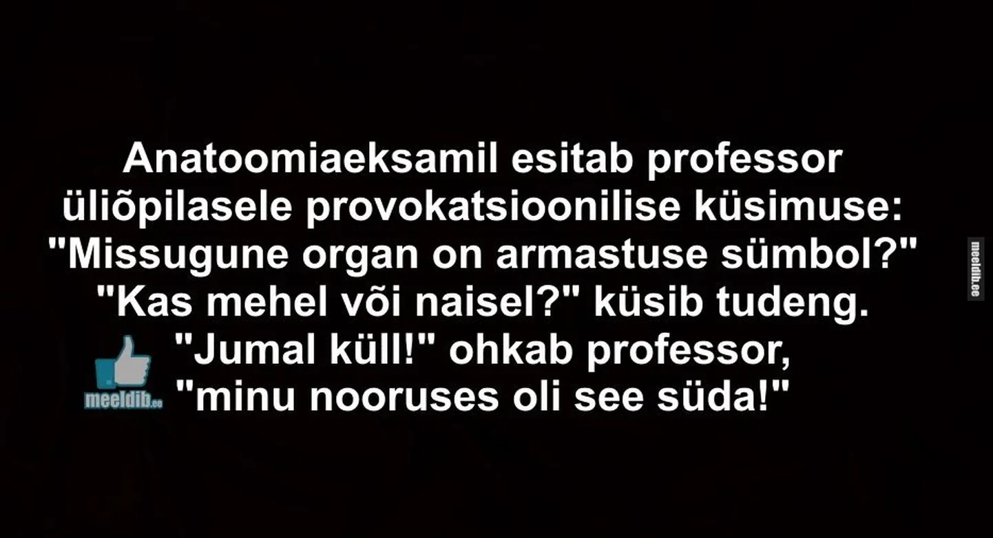 Artikli foto