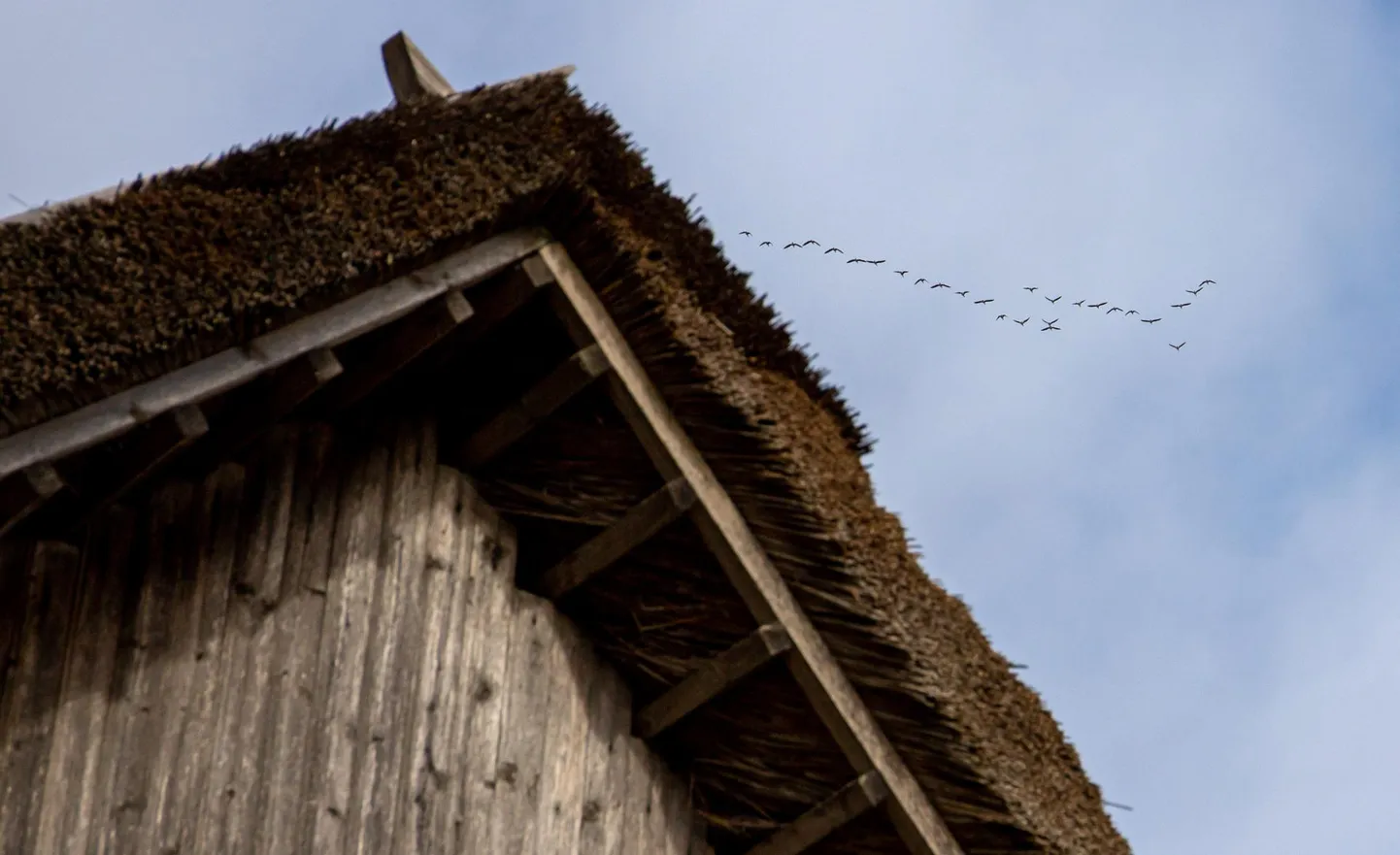 Inimeste tungi maale kolida on täheldanud peale maaklerite vallaametnikudki.