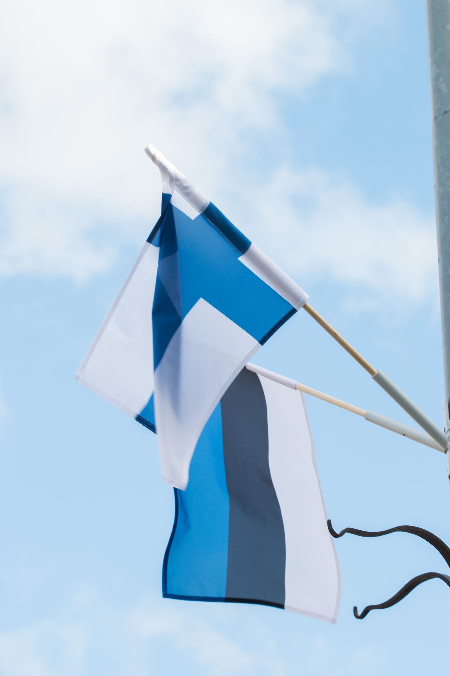 Soome ja Eesti lipp