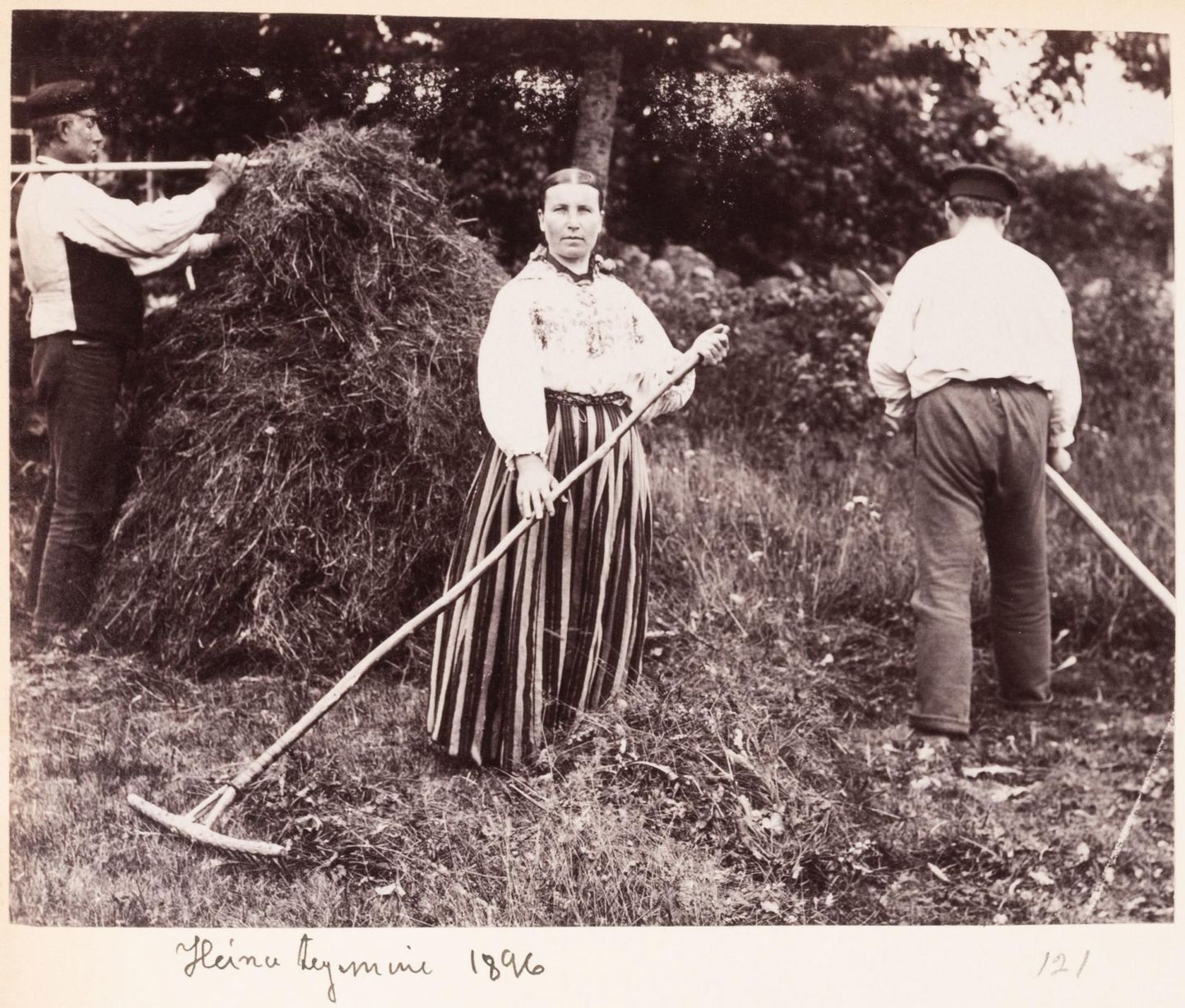 Ajavahemikus 1896–1898 tehtud foto heinateost, kus esiplaanil rahvariides naine rehaga.