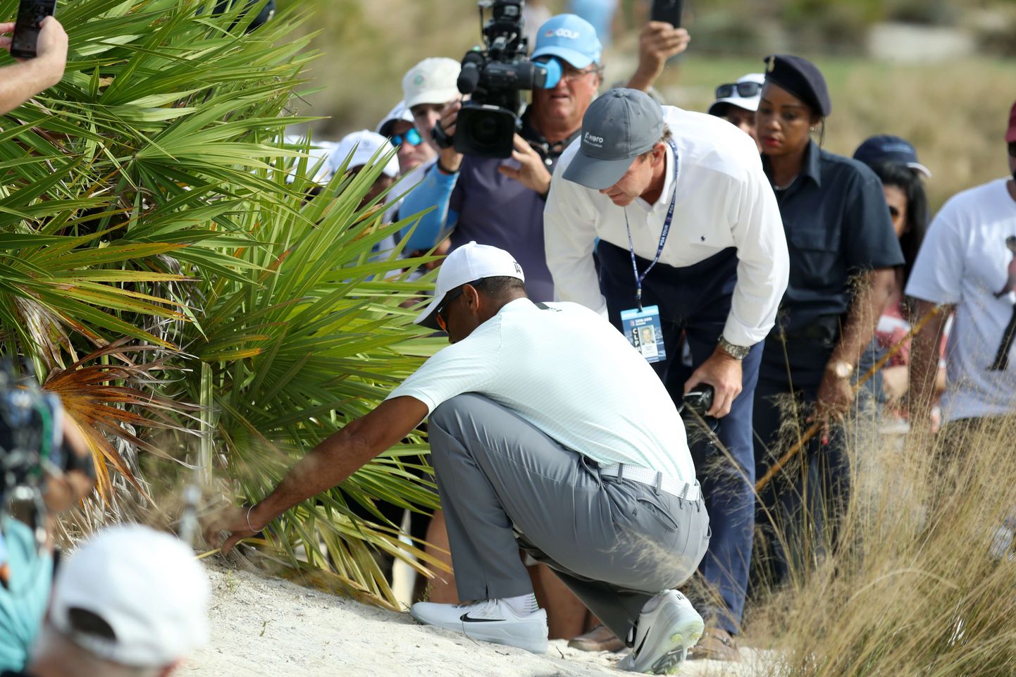 Tiger Woods põõsast oma palli otsimas.