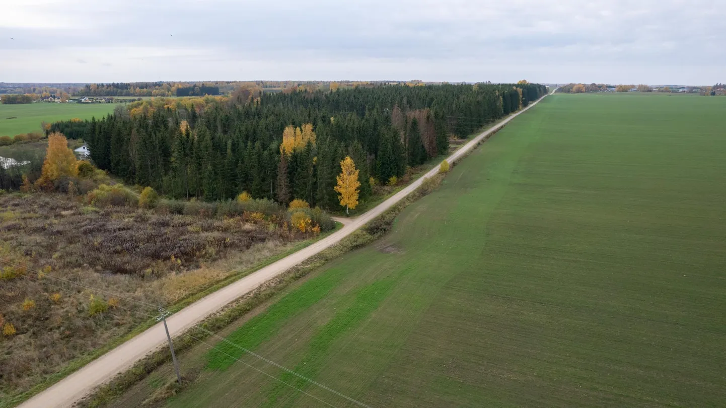 Joonsirge kruusane maaparandustee kannab endas sovhoosiajastu mälestust.