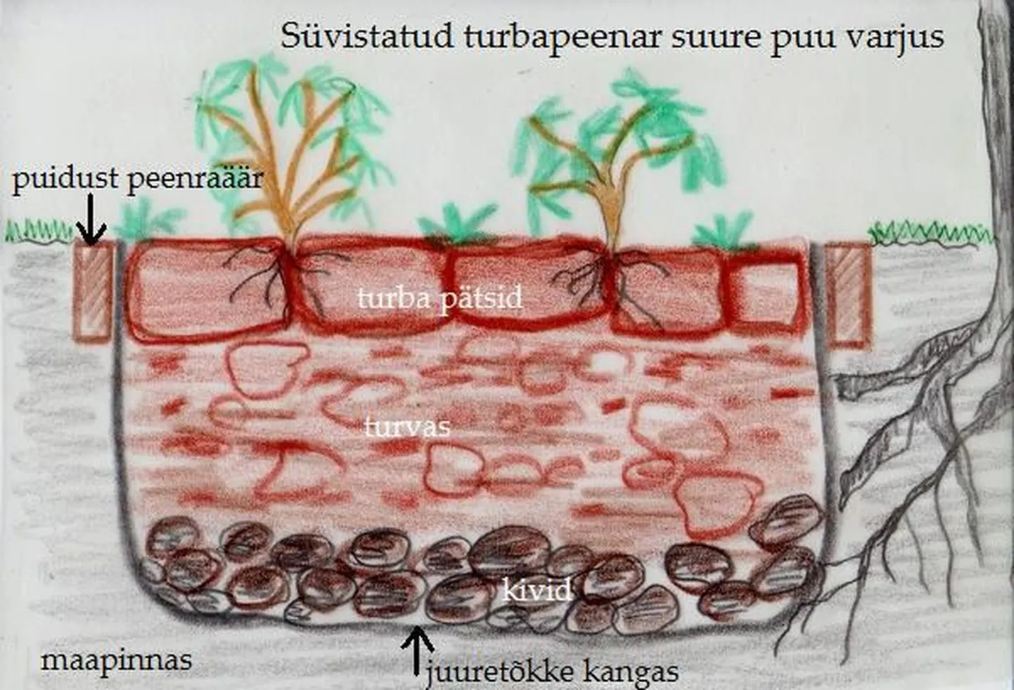 Süvistatud turbapeenar.