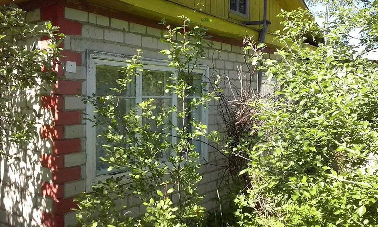 Фото статьи