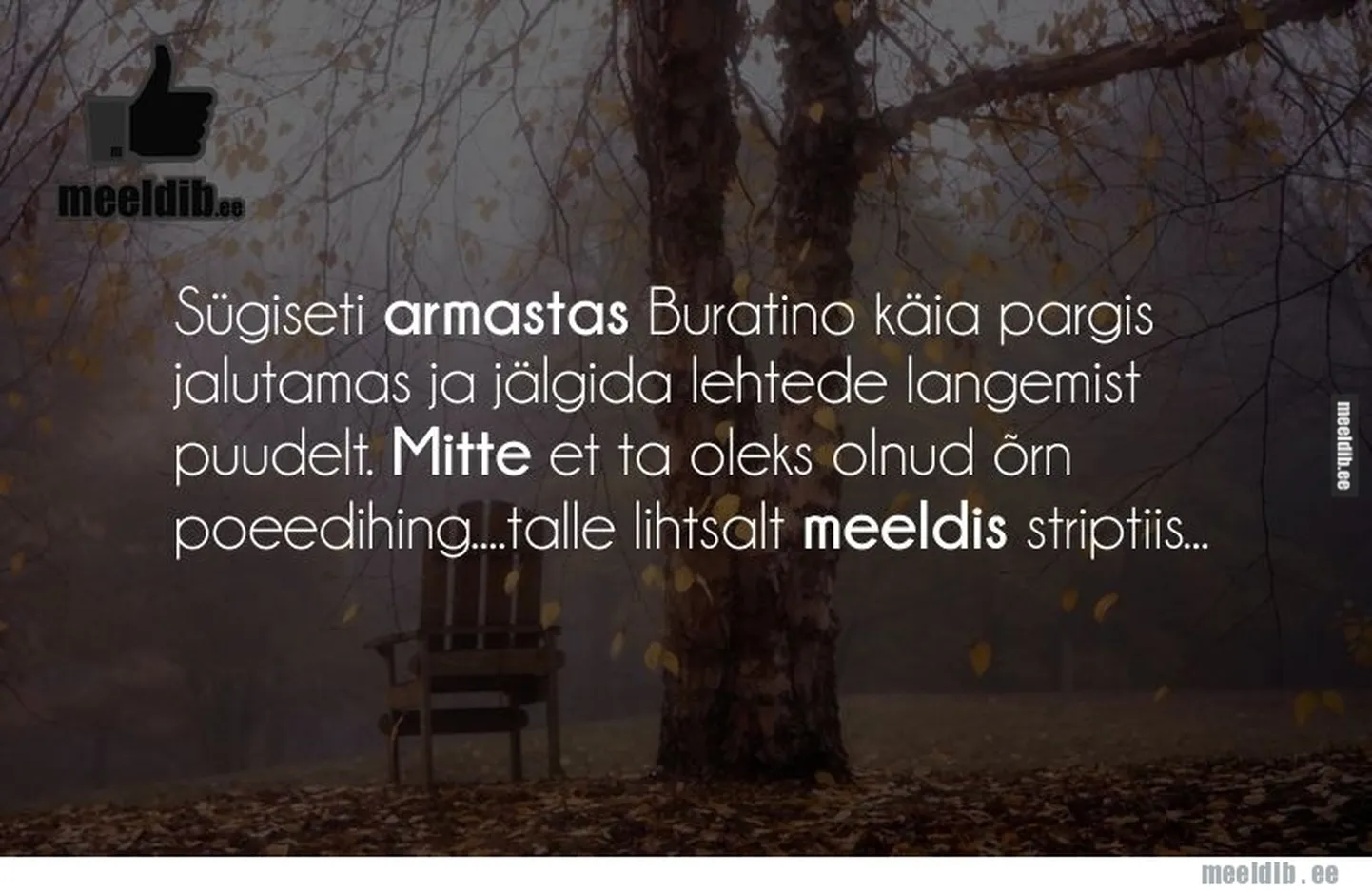 Artikli foto